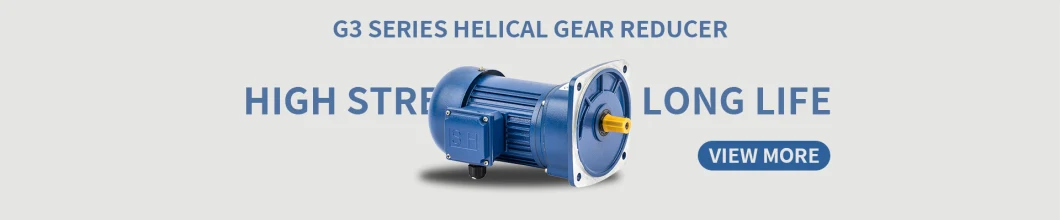 G3 Series Right Angle Tkm Solid Shaft Helical Hypoid Speed Reducer